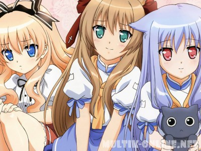 Нашествие бродячих кошек! / Mayoi neko overrun!