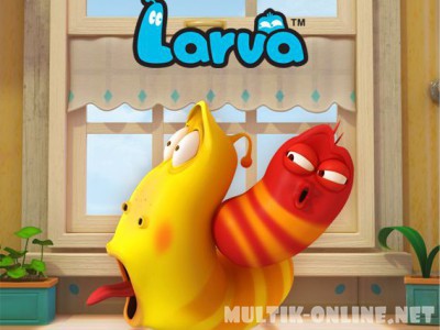 Личинки / Larva